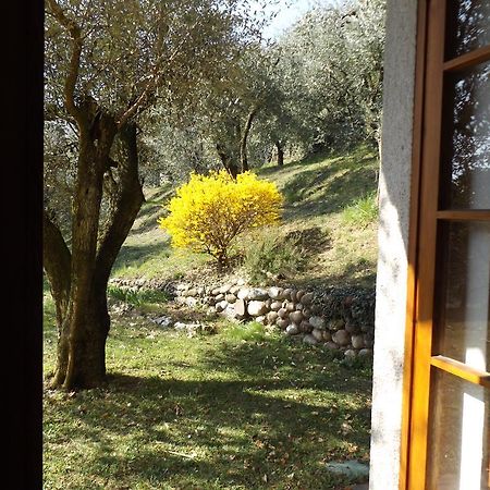 Villa Rocca Marciaga Екстериор снимка